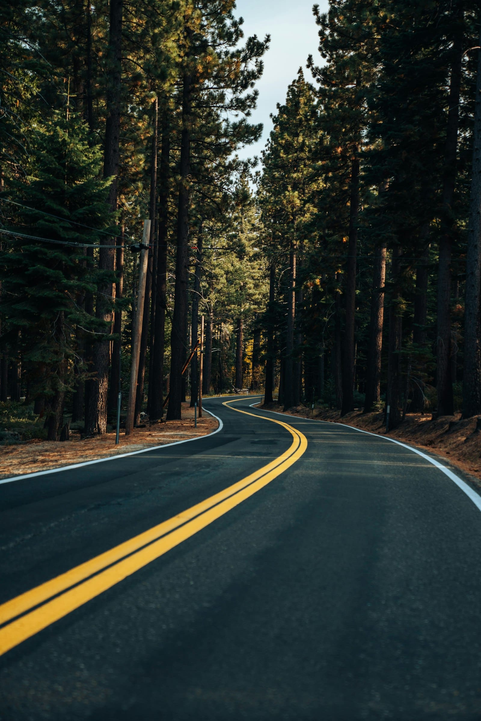 Forested road heading toward the Pocono Mountains, evoking the drive from NYC to Bella Casa Cabin